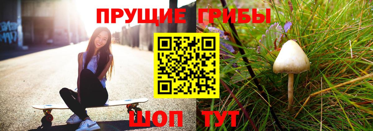 Нижнекамск  цены наркотик  Псилоцибиновые грибы ЛСД  Вход с VPN  Галлюциногенные грибы Cubensis 
