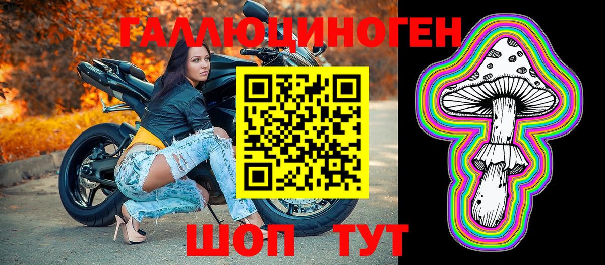 Галлюциногенные грибы Psilocybe Нижнекамск